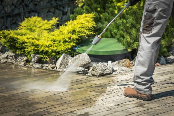 Animal Enclosure Cleaning in South Bend, IN