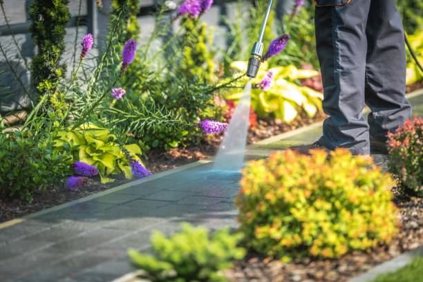 Best Patio and Deck Pressure Washing  in South Bend, IN